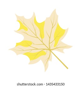 Autumn Maple Leaf. Fall Collection. Vector illustration.