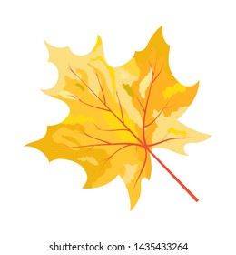 Autumn Maple Leaf. Fall Collection. Vector illustration.