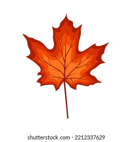 Autumn maple leaf. Leaf fall. Vector illustration.