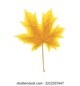 Autumn maple leaf. Leaf fall. Vector illustration.