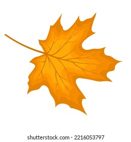 Hoja de arce otoñal. Hojas de otoño. Ilustración vectorial.