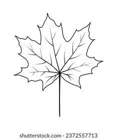 Autumn maple leaf. Autumn leaf fall. Vector illustration.