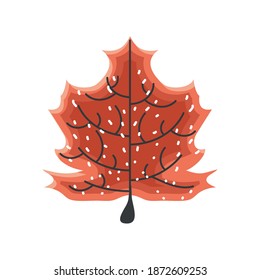 autumn maple leaf foliage natural vector illustration