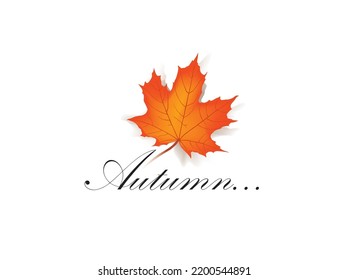 Marco de hoja de arce de otoño con letras y espacio de copia sobre fondo blanco. Ilustración vectorial de las hojas de otoño 