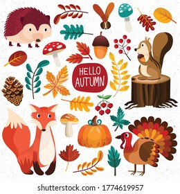 autumn maple leaf harvest pumpkins nature hedgehog turkey mushroom season cherry pine cones collection vector 