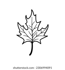 Icono de hoja de arce de otoño. Signo de línea negra. Diseño plano de ilustración vectorial. Aislado sobre fondo blanco.