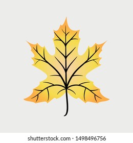Autumn Maple Leaf icon. Cartoon of sickle vector icon for web design isolated on gray background - Vector