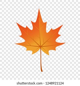 Autumn maple leaf icon. Flat illustration of autumn maple leaf vector icon for web design