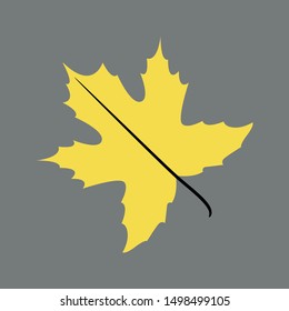 Autumn Maple Leaf icon, flat style. - Vector
