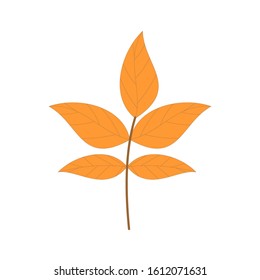 Autumn Maple Leaf icon. 
in a trendy style