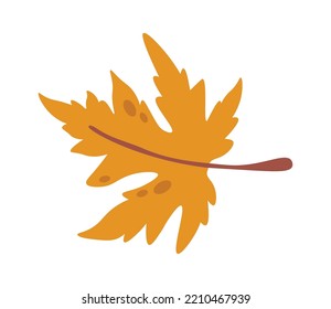 Autumn maple leaf icon. Vector illustration