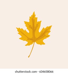 Autumn maple leaf icon vector illustration