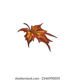 Autumn maple leaf icon in watercolor orange style, hand drawn vector illustration. Red-orange maple leaf on isolated white background. Autumn symbol. Decorative design element.