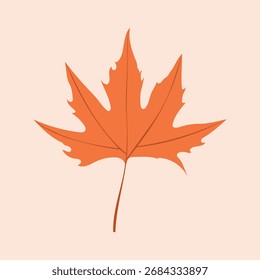 Ilustración de hojas de arce de otoño: diseño de la temporada de otoño, naturaleza, follaje, Acción de Gracias, decoraciones de temporada y diseño botánico.