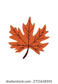 Ilustración de hoja de arce de otoño sobre fondo blanco