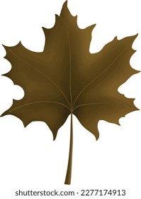 Autumn Maple Leaf Isolated Clipart Illustration on white background