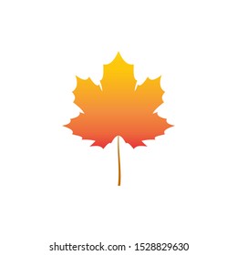 Autumn maple leaf. Autumn maple leaf isolated on a white background. vector realistic orange leaf isolated in white background for seasonal design. foliage cards. Canada emplem. background.