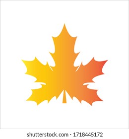 Autumn Maple Leaf Isolated on a White Stock Vector