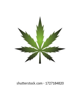 Autumn Maple Leaf Isolated on a White Stock Vector