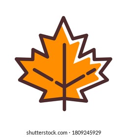 Autumn maple leaf isolated on a white background. maple leaf with outline. autumn leaf cartoon. Vector illustration