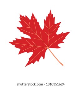 Autumn Maple Leaf isolated on white background. Element for autumn, Thanksgiving and Halloween poster