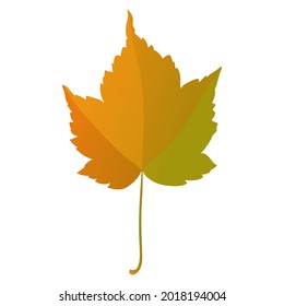 Autumn maple leaf isolated on white background. Simple cartoon flat style vector illustration.