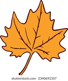 Autumn maple leaf isolated on white background. Fall orange leaf illustration.