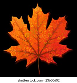 Autumn maple leaf isolated on black background