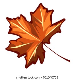 Autumn maple leaf isolated on a white background. Vector cartoon close-up illustration.