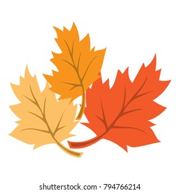 Autumn maple leaf isolated over a white background. Flat design, vector.