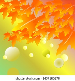 Autumn maple leaf on background  with empty space. Vector illustration.