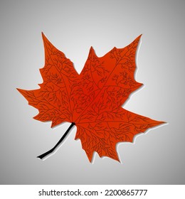 Hoja de arce de otoño sobre fondo gris. Ilustración del vector