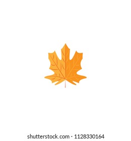 autumn maple leaf on a white background. Vector illustration.