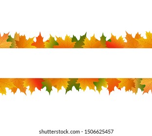 Autumn maple leaf on a white background