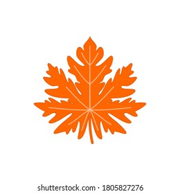 hoja de arce de otoño sobre fondo blanco.  Hoja de otoño, caída de hojas. Ilustración vectorial. EPS10