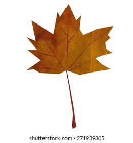 Autumn maple leaf on white background. Vector illustration.