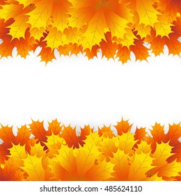 Autumn maple leaf on a white background. for banner, vector illustration