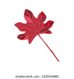Autumn maple leaf painted in different shades of red. Isolated vector image.