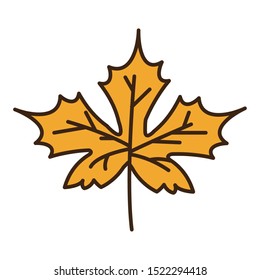 autumn maple leaf plant seasonal isolated icon vector illustration design