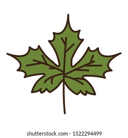 autumn maple leaf plant seasonal isolated icon vector illustration design
