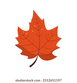 Hoja de arce de otoño. El follaje rojo es un símbolo de caída. Ilustración vectorial plana aislada sobre fondo blanco
