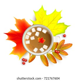 Autumn maple leaf and rowan branches with ashberry and cup of coffee with marshmallow isolated on a white background. Vector illustration