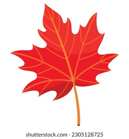 Autumn maple leaf seasonal red tree foliage on stick botanical bright nature isometric vector illustration. Fall season colored leaves herb environment flora natural plant forest park wooden botany