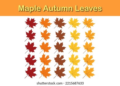 Autumn maple leaf set. Autumn Leaves fall. Vector illustration.