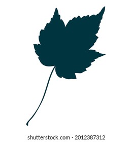Autumn maple leaf silhouette isolated on white background. Simple cartoon flat style vector illustration.