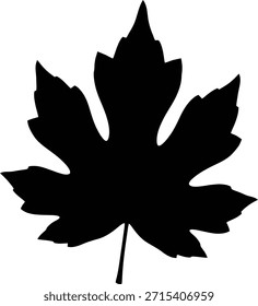 Ilustración vectorial de silueta de hoja de arce de otoño para símbolos canadienses y diseños de naturaleza de temporada de otoño.