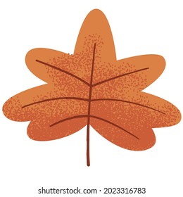 Autumn maple leaf with texture isolated on a white