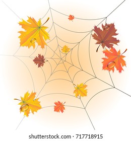 Autumn. Maple leaf. Vector.