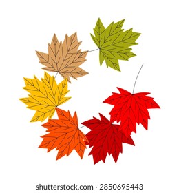 Autumn maple leaf vector composition in red, orange, yellow, green and brown tones. Five individual leaves form a loose circular composition with hand drawn vein details.