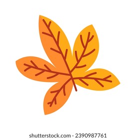 Autumn Maple Leaf Vector Illustration